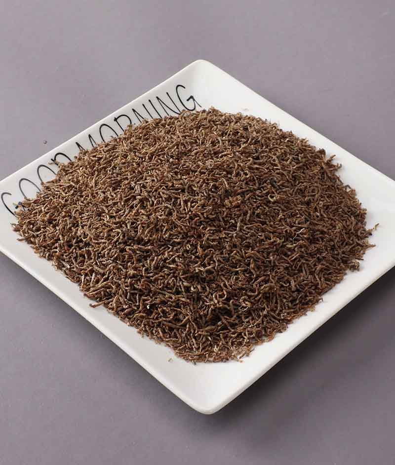 Freeze Dried Bloodworms