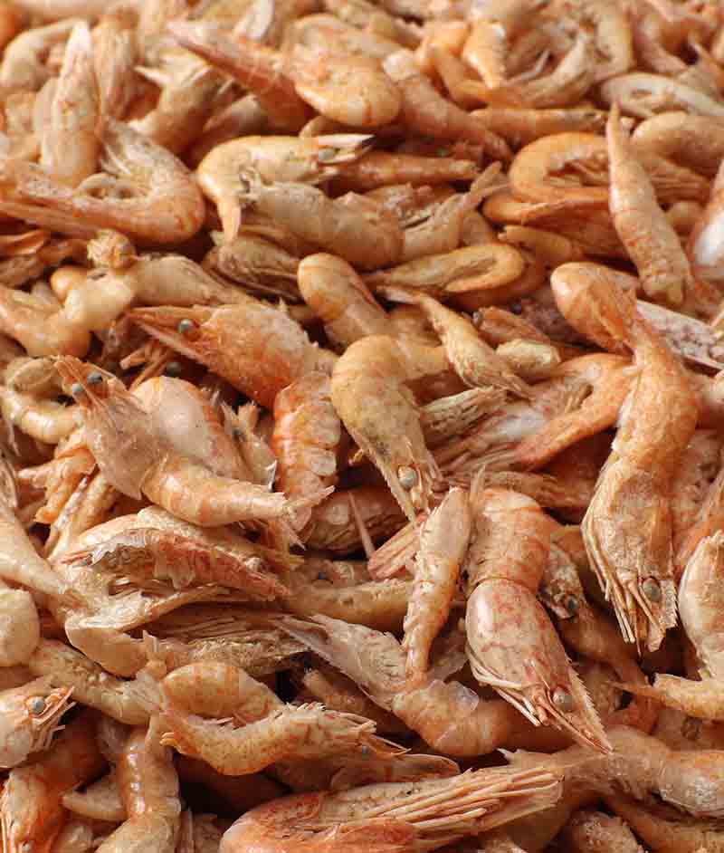 Freeze Dried River Shrimp